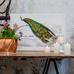 Постер на холсте с изображением павлина на ветке Majestic Peacock on a Tree Poster варинант исполнения - 2 | Loft Concept в Грозном