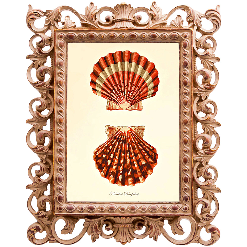 Постер Red Scallop Poster Бежевый Красный в Грозном | Loft Concept 