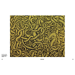 Редкое подарочное издание Yayoi Kusama: 1945 to Now варинант исполнения - 7 | Loft Concept в Грозном