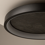 Потолочный светильник Orign 3000К варинант исполнения - 5 | Loft Concept в Грозном