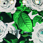 Штора Seletti Roses варинант исполнения - 1 | Loft Concept в Грозном