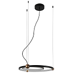 Люстра подвесная светодиодная черный металл Ring Horizontal варинант исполнения - 2 | Loft Concept в Грозном