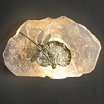 Бра Декоративный лист с стрекозой Glacial Fragment варинант исполнения - 2 | Loft Concept в Грозном