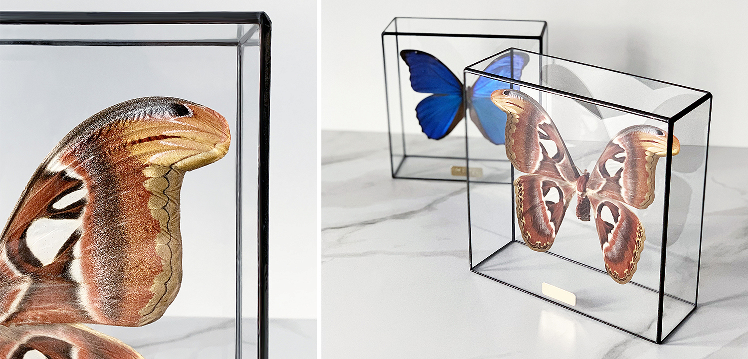 Статуэтка Butterfly Atlas Glass Box Статуэтка Butterfly Atlas Glass Box - Loft-Concept в Грозном