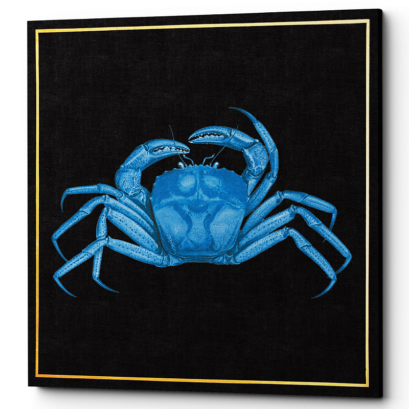 Постер Blue Crab Poster Черный Морская синь Постер Blue Crab Poster Черный Морская синь в Грозном | Loft Concept