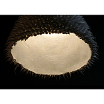 Светильник Acus варинант исполнения - 3 | Loft Concept в Грозном