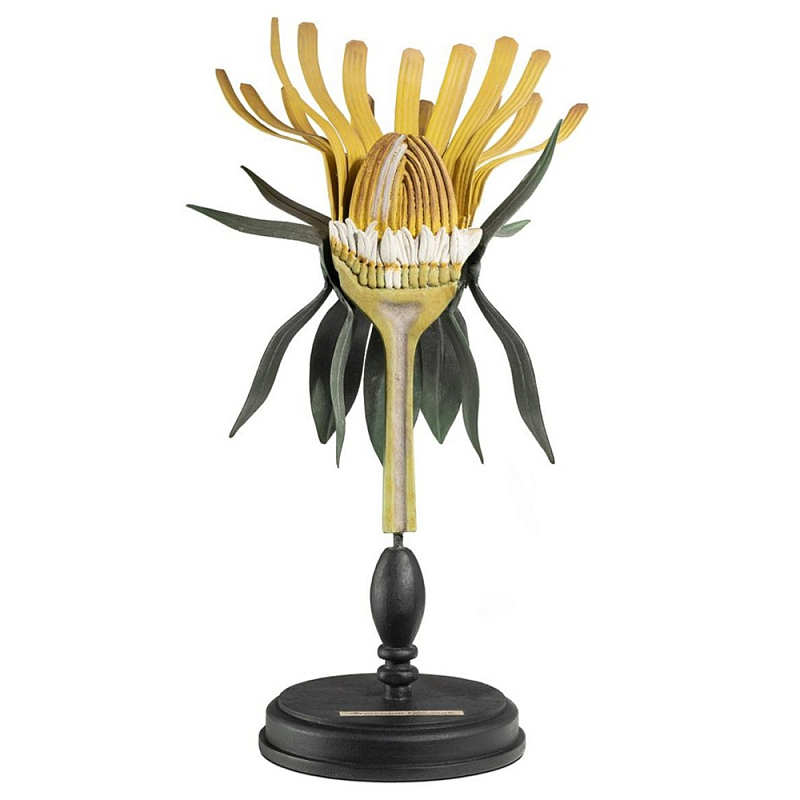 Статуэтка Dandelion Plant Черный Желтый Статуэтка Dandelion Plant Черный Желтый в Грозном | Loft Concept