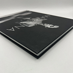 Коллекционная редкая книга Madonna: Nudes + by Martin H.M. Schreiber 2017 Букинистика варинант исполнения - 4 | Loft Concept в Грозном