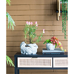 Кашпо A collection of baby rabbits варинант исполнения - 5 | Loft Concept в Грозном