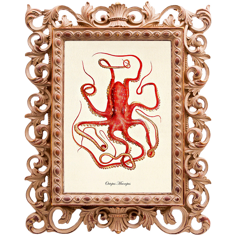 Постер Red Squid Poster Бежевый Красный Постер Red Squid Poster Бежевый Красный в Грозном | Loft Concept