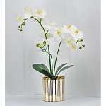 Декоративный искусственное растение Lush Orchid варинант исполнения - 2 | Loft Concept в Грозном