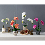 Декоративный искусственное растение Pink orchid варинант исполнения - 11 | Loft Concept в Грозном