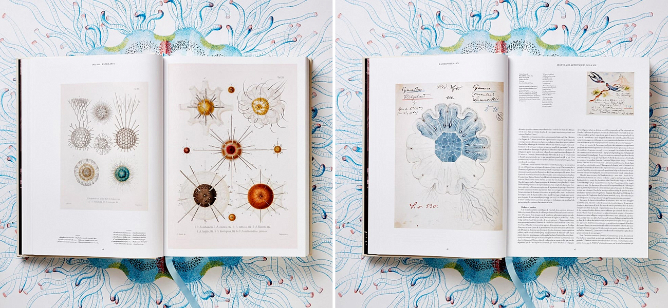 The Art and Science of Ernst Haeckel XXL The Art and Science of Ernst Haeckel XXL - Loft-Concept в Грозном