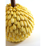 Статуэтка тропический фрукт Pandora Tropical Fruit Yellow Emerald Flower варинант исполнения - 2 | Loft Concept в Грозном