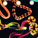 Штора Seletti Snakes Black варинант исполнения - 1 | Loft Concept в Грозном