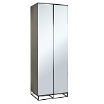 Двухдверный шкаф с зеркальными дверцами Strict Lines варинант исполнения - 1 | Loft Concept в Грозном