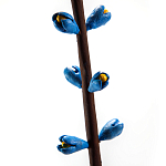 Синий экзотический фрукт статуэтка для интерьераTropical Fruit Pandora 9 варинант исполнения - 2 | Loft Concept в Грозном