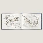 Лимитированная подарочная книга HERMES Fierce and Fragile book, English version варинант исполнения - 4 | Loft Concept в Грозном