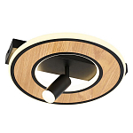 Потолочный светильник круглый GAVIN WOOD варинант исполнения - 1 | Loft Concept в Грозном