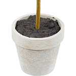 Декоративный искусственное растение Boxwood One варинант исполнения - 3 | Loft Concept в Грозном