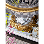 Чаша из прозрачного стекла с бронзовой подставкой и ручками Eden Garden варинант исполнения - 4 | Loft Concept в Грозном