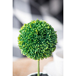 Декоративный искусственное растение Boxwood One варинант исполнения - 8 | Loft Concept в Грозном