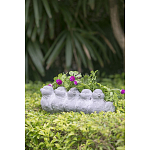 Кашпо Canaries варинант исполнения - 8 | Loft Concept в Грозном