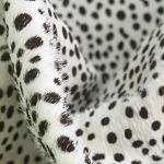 Мебельная ткань Искусственный мех  белый леопард 90 см T5-3 варинант исполнения - 1 | Loft Concept в Грозном