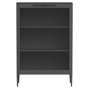 Витрина темно-серая с 2-мя стеклянными дверцами и 3-мя полками Type 