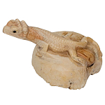Статуэтка из дерева ящерица Animals of the World варинант исполнения - 2 | Loft Concept в Грозном