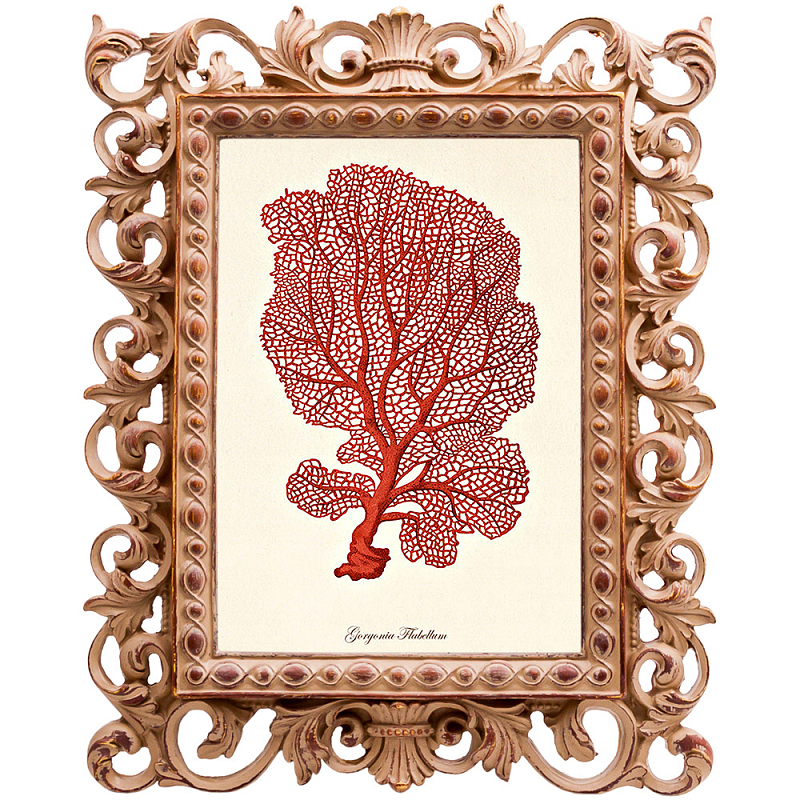 Постер Red Coral Poster 5 Бежевый Красный Постер Red Coral Poster 5 Бежевый Красный в Грозном | Loft Concept
