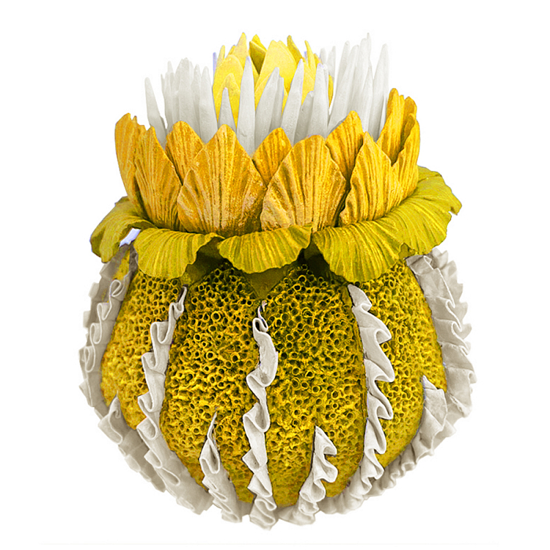 Желтый Экзотический фрукт Yellow Pandora Exotic Fruit 44 Желтый Желтый Экзотический фрукт Yellow Pandora Exotic Fruit 44 Желтый в Грозном | Loft Concept