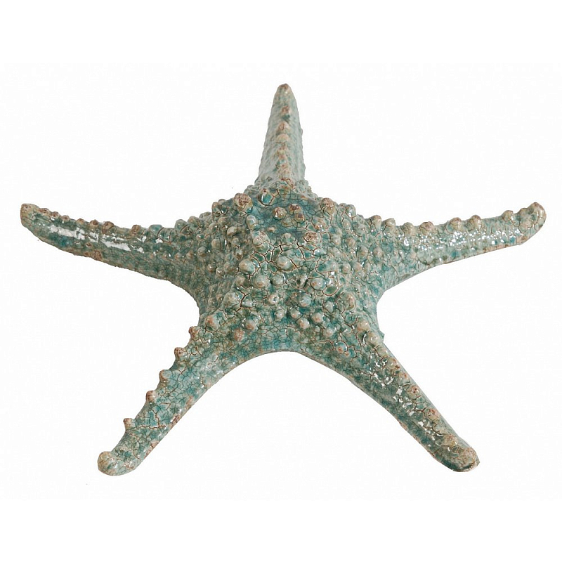 Аксессуар Starfish Бирюзовый Серый Аксессуар Starfish Бирюзовый Серый в Грозном | Loft Concept