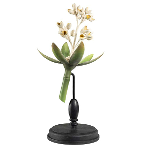 Статуэтка Wonderboom