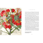 Прекрасно иллюстрированная книга более 100 ботанических произведений Plant Hunters Atlas варинант исполнения - 5 | Loft Concept в Грозном