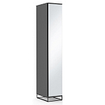 Шкаф-пенал с зеркальной дверцей и фасадом цвета графит Strict Lines варинант исполнения - 2 | Loft Concept в Грозном