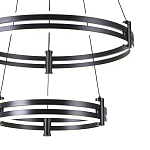 Люстра светодиодная с 2-мя плафонами в форме колец из акрила и алюминия с пультом для регулировки света Ring Horizontal Black варинант исполнения - 1 | Loft Concept в Грозном