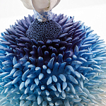 Статуэтка Синий тропический фрукт Tropical Fruit Pandora 4 варинант исполнения - 1 | Loft Concept в Грозном