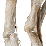 Люстра круглая в виде веток деревьев Natural Driftwood варинант исполнения - 3 | Loft Concept в Грозном