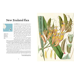 Прекрасно иллюстрированная книга более 100 ботанических произведений Plant Hunters Atlas варинант исполнения - 3 | Loft Concept в Грозном