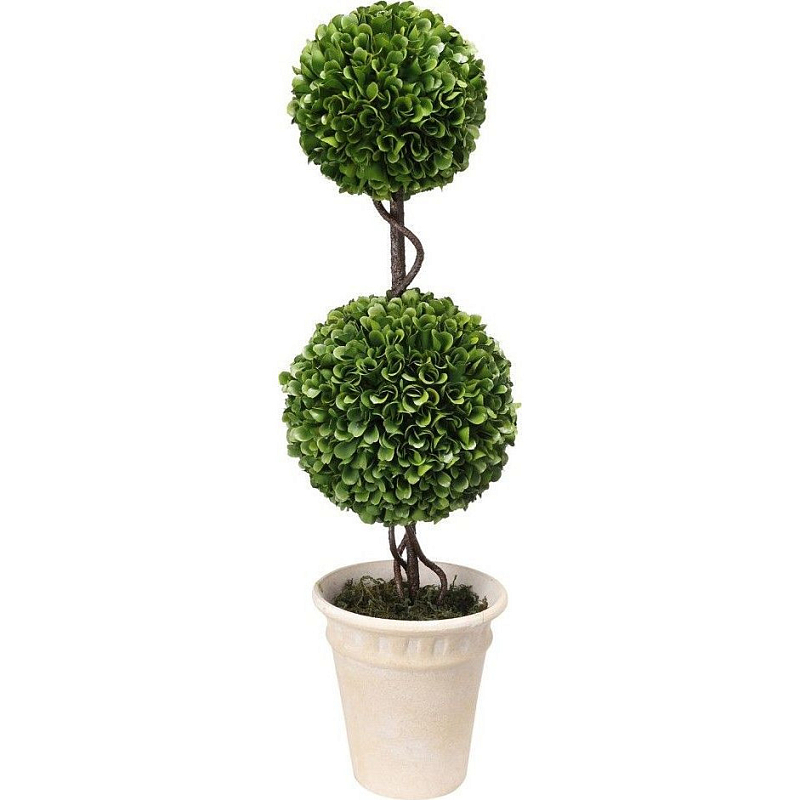 Декоративный искусственное растение Boxwood Зеленый Бежевый Коричневый Декоративный искусственное растение Boxwood Зеленый Бежевый Коричневый в Грозном | Loft Concept