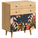 Комод с принтом на ящиках Elise Chest of Drawers варинант исполнения - 2 | Loft Concept в Грозном