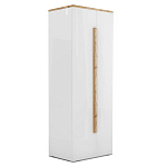 Шкаф платяной с белым глянцевым фасадом Grace of Furniture варинант исполнения - 1 | Loft Concept в Грозном