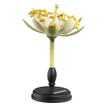 Статуэтка Tilia варинант исполнения - 2 | Loft Concept в Грозном