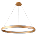 Люстра подвесная светодионая кольцевая золотого цвета Ring Horizontal варинант исполнения - 1 | Loft Concept в Грозном