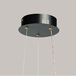 Люстра с прозрачным волнистым плафоном в форме цветка Ethereal Bloom варинант исполнения - 11 | Loft Concept в Грозном