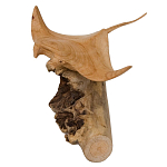 Статуэтка из дерева скат Animals of the World варинант исполнения - 2 | Loft Concept в Грозном