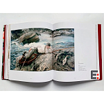 Книга Коллекция картин Сарджента Sargent: The Masterworks варинант исполнения - 6 | Loft Concept в Грозном