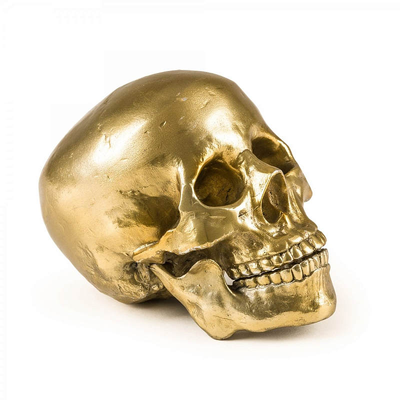 Статуэтка Seletti Wunderkrammer Human Skull Золотой Статуэтка Seletti Wunderkrammer Human Skull Золотой в Грозном | Loft Concept