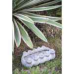 Кашпо Canaries варинант исполнения - 3 | Loft Concept в Грозном